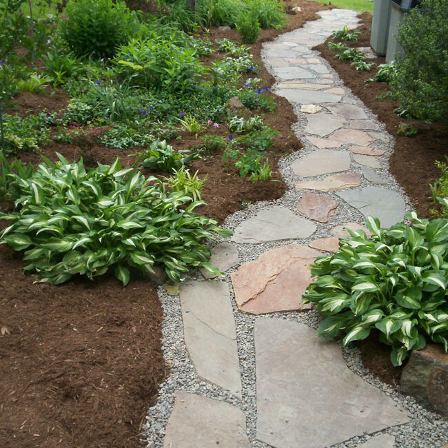 Multicolored slate flagstone walkway through mulched garden bed with Hostas
