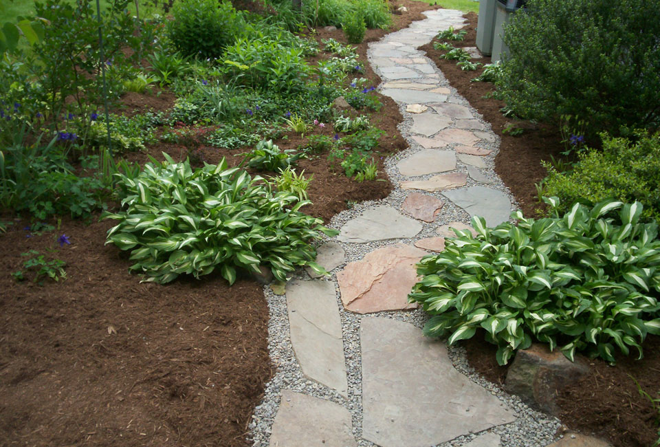 Multicolored slate flagstone walkway through mulched garden bed with Hostas
