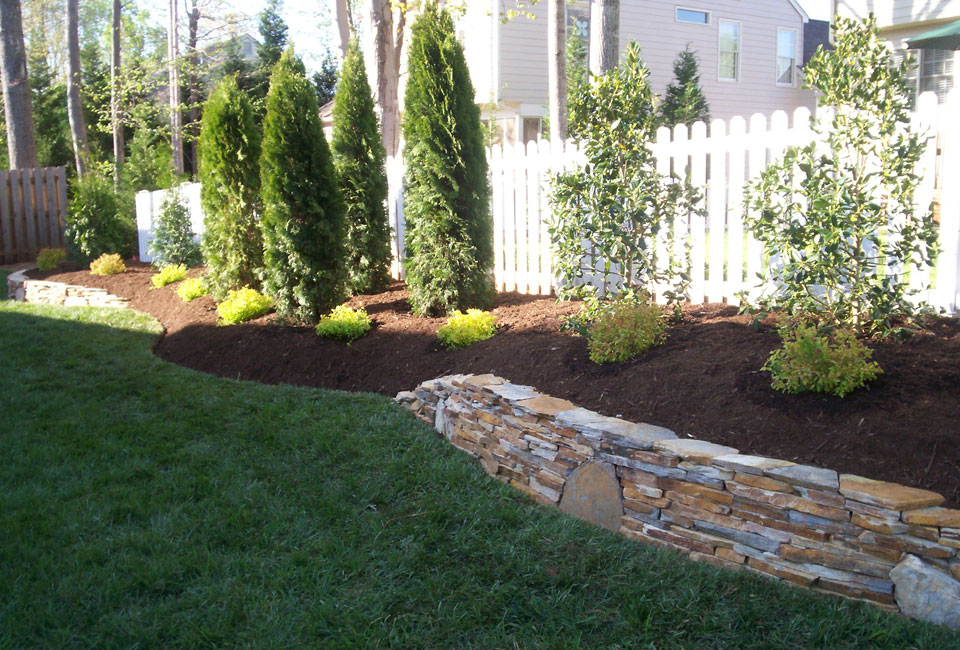 Mojave thin veneer retaining walls with keystones surrounding property border bed with Emerald Green Arborvitae, Nellie Stevens Holly & Little Princess Spirea with aged hardwood mulch