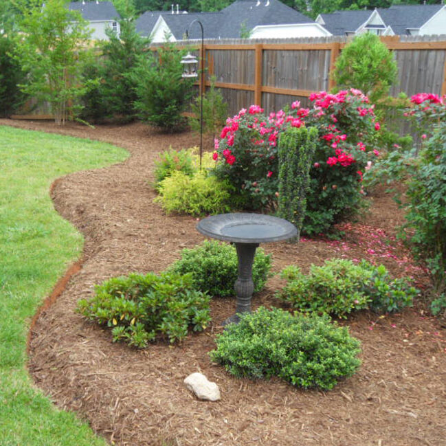 Rose garden with birdbath, bird feeder and evergreens with curving deep edges softening fence with natural area and privacy screen in background