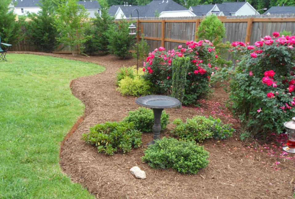 Rose garden with birdbath, bird feeder and evergreens with curving deep edges softening fence with natural area and privacy screen in background