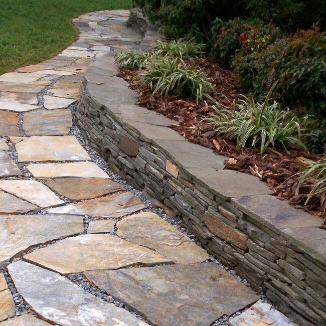'Mojave' Flagstone Walkway w/ 'Colonial Gray' Thin Veneer Retaining Wall w/ 'Variegated' Liriope & 'Firepower' Dwarf Nandina in background