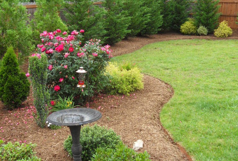 Deep Edged Curvilinear Bordered Natural Area w/ 'Sky Pencil' Holly, 'Knock-Out' Roses, Japanese Holly, Leyland Cypress & Cryptomeria Mulched w/ Aged Hardwood Mulch