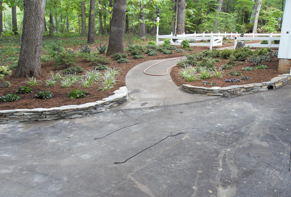 Azalea Walkway Entrance Beds with 'Variegated' Liriope & Ajuga Grass Groundcover accented with small Stone Retaining Walls w/ White Wooden Fence in background