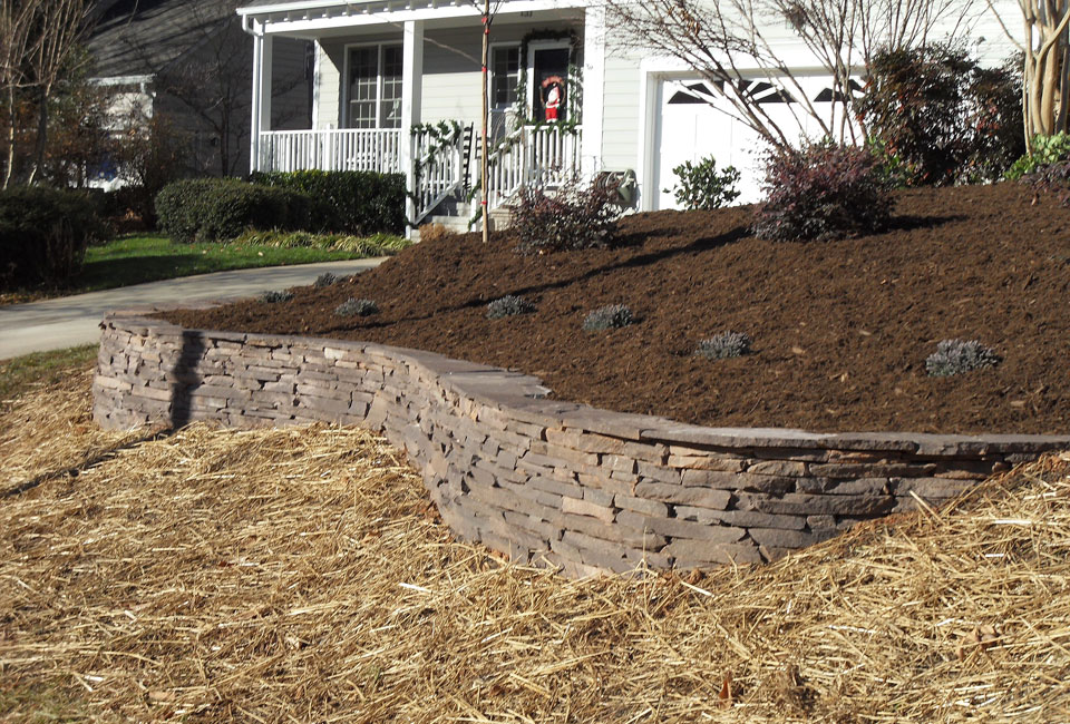 'Colonial Lilac' PA Bluestone Curving 'Half Figure Eight' Mortared Retaining Wall on Front Hillside w/ Capstones & 'Blue Star' Juniper in foreground