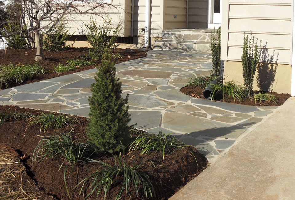 Mortared PA Bluestone Walkway, Mortared PA Bluestone Stairs & Mortared PA Bluestone Porch Leading from Cement Driveway to Custom Front Door w/ Shrubbery Bed Borders