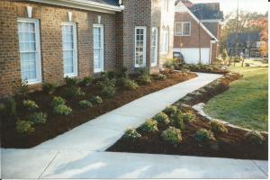 Planted Front Foundation & Walkway Border Beds with Aged Hardwood Mulch & Small Stone Accent of Deep Edged Curvilinear Borders