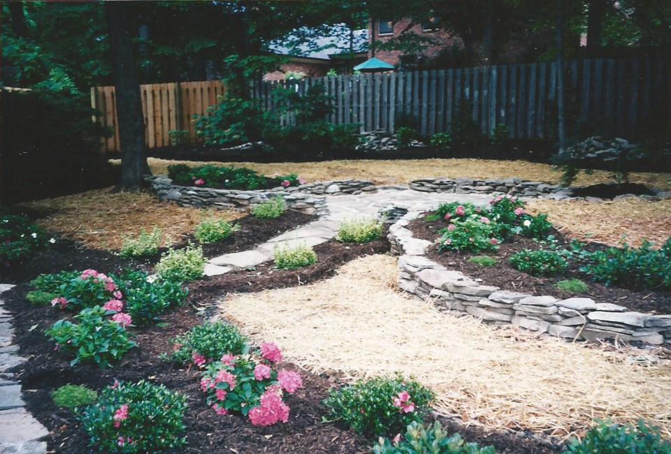 PA Bluestone Flagstone Walkway through Flowering Hydrangea & Assorted Evergreens set in PA Fieldstone Retaining Walls leading to PA Bluestone Flagstone Patio w/ Japanese Weeping Maple as specimen accent