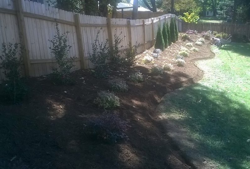 Deep Edged Backyard Natural Area Buffering Fence & Future Privacy Screen Mulched w/ Aged Hardwood